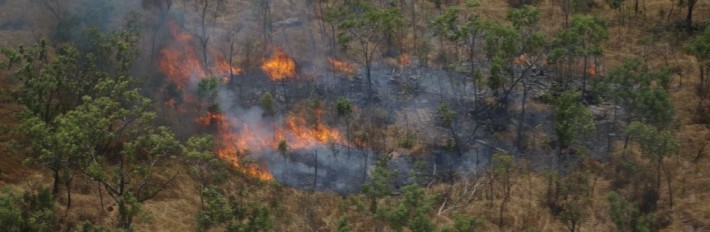 Savanna fire in Kakadu National Park